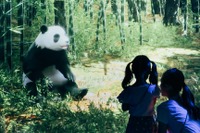ずかんミュージアム、小学生以下の料金半額9/15-11/15 画像